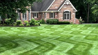 residential landscaping lawn